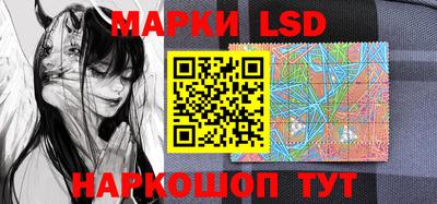 стаф Донской