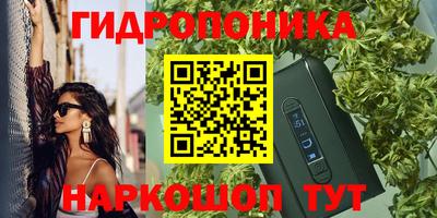 стаф Донской