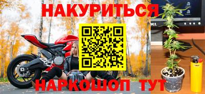 стаф Донской