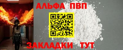 стаф Донской