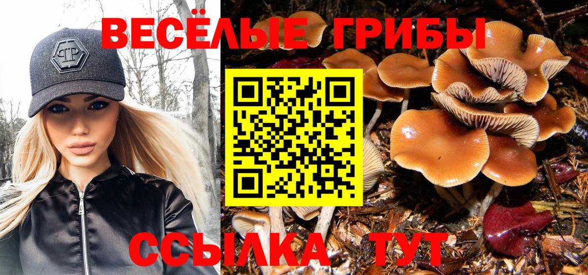 Галлюциногенные грибы Magic Shrooms  Псилоцибиновые грибы GOLDEN TEACHER  Вход с VPN  что такое наркотик  Назрань 